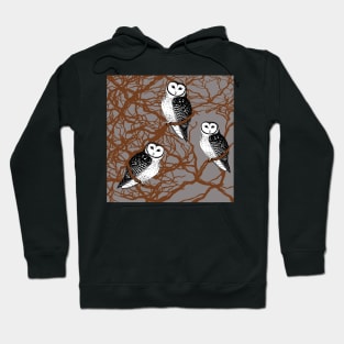 Tasmanian Masked Owl - Endangered Species Hoodie